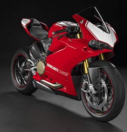 Ducati-1299R-Panigale-15--2.jpg
