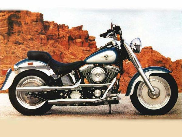 1999 Harley Davidson Fat Boy