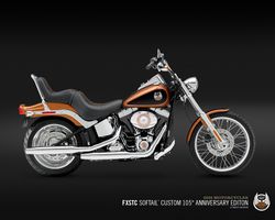 Harley-davidson-softail-custom-105th-anniversary-c-2008-2008-0.jpg