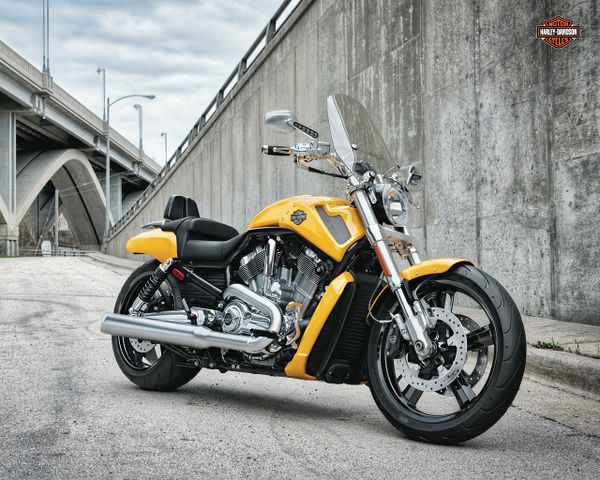 2012 Harley Davidson V-rod Muscle