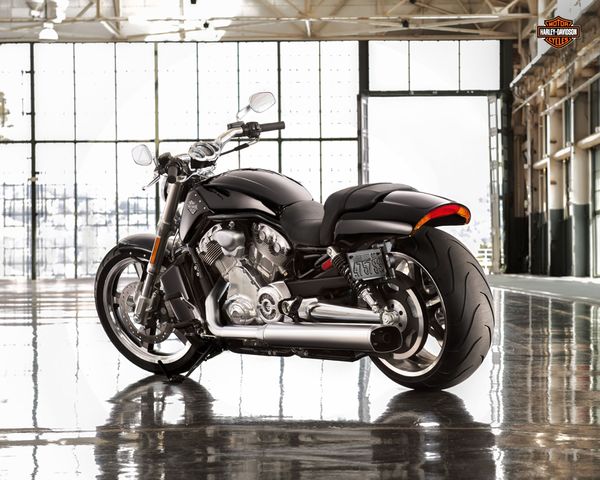 2013 Harley Davidson V-rod Muscle