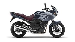Yamaha-tdm900-2012-2012-2.jpg
