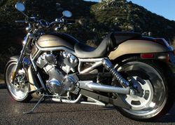 2005-Harley-Davidson-VRSCA-V-Rod-Gold-Black-6138-1.jpg