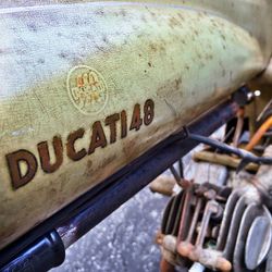 Ducati-48-1952-1954-2.jpg