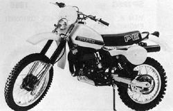 1981-Suzuki-PE175X.jpg