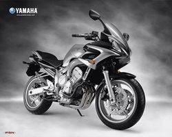 Yamaha-fz6-2005-2005-0.jpg