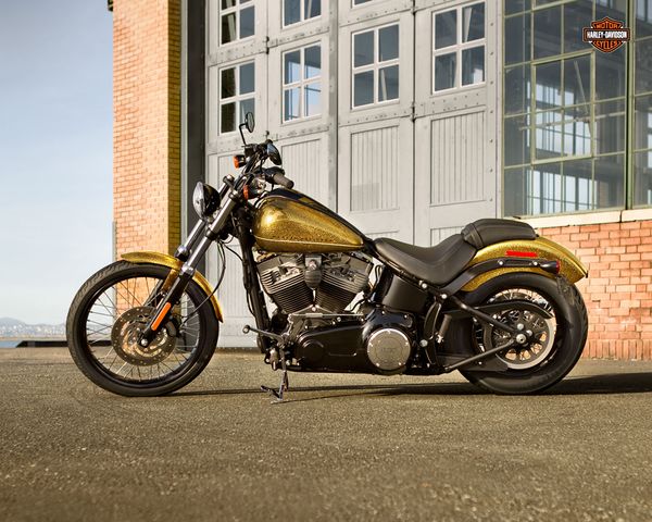 2013 Harley Davidson Blackline