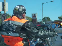 Half helmet Harley-Davidson rider.jpg