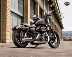 Harley-davidson-iron-883-3-2013-2013-1.jpg