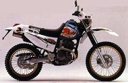 Yamaha-TT250R-Raid--95.jpg