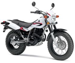 Yamaha-tw200-2010-2010-3.jpg