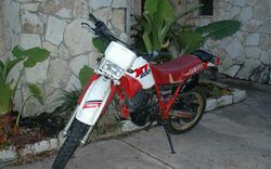 1988-Yamaha-XT600-Red-9554-1.jpg