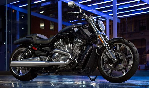 2015 Harley Davidson V-rod Muscle