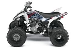 Yamaha-raptor-250-2011-2011-2.jpg