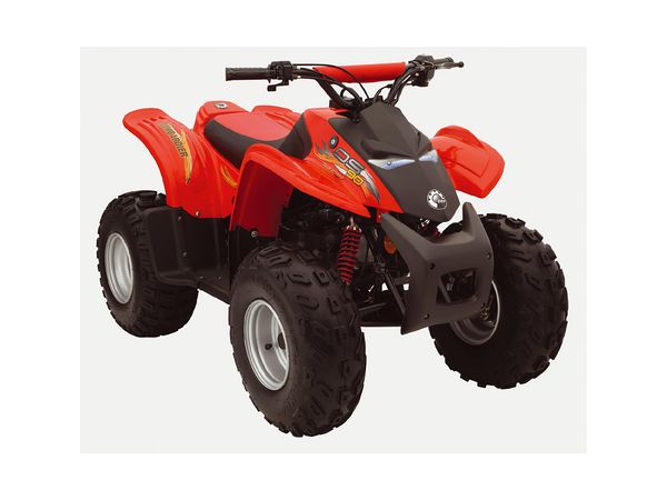 2006 Can-Am/ Brp Bombardier DS90 2-stroke