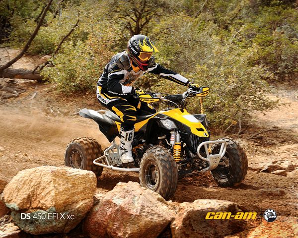 2011 Can-Am/ Brp DS 450 X XC