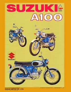 1966 A100 brochure 450.jpg