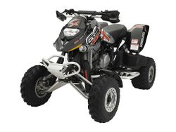Can-am-brp-bombardier-ds650-x-2006-2006-1.jpg