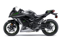 Kawasaki-ninja-300-2015-2015-0 CPCZvgg.jpg