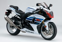 Suzuki-GSX-R1000-13--1.jpg