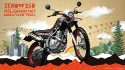 Yamaha-XT-250-30th-Anniversary--5.jpg