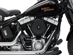 Harley-davidson-cross-bones-2008-2008-4.jpg