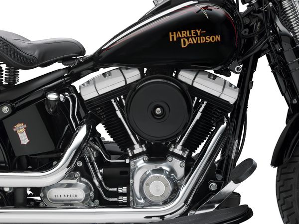 2008 Harley Davidson Cross Bones