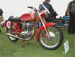 Ducati-65ts-1955-1958-0.jpg