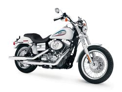Harley-FXDI35-06--1.jpg