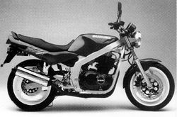 1994-Suzuki-GS500ER.jpg