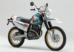 Yamaha-TT250-raid-96.jpg