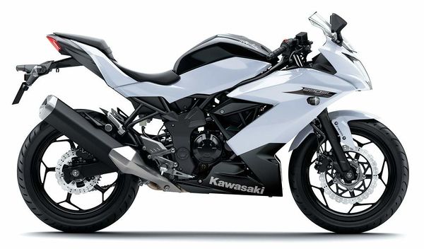 Svag I mængde service Kawasaki Ninja 250RR Mono - CycleChaos