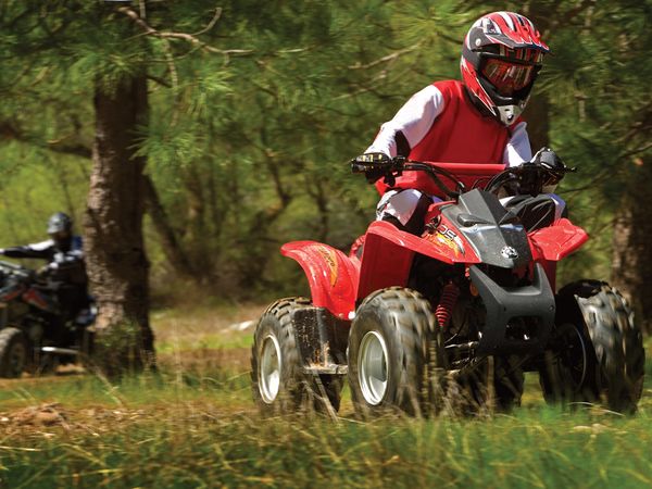 2006 Can-Am/ Brp Bombardier DS90 4-stroke