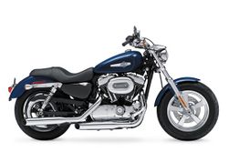 Harley-davidson-1200-custom-3-2013-2013-1.jpg