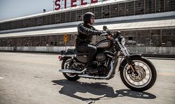 Harley-davidson-883-roadster-2-2014-2014-4.jpg