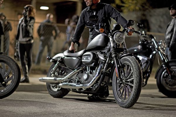 2009 Harley Davidson Iron 883