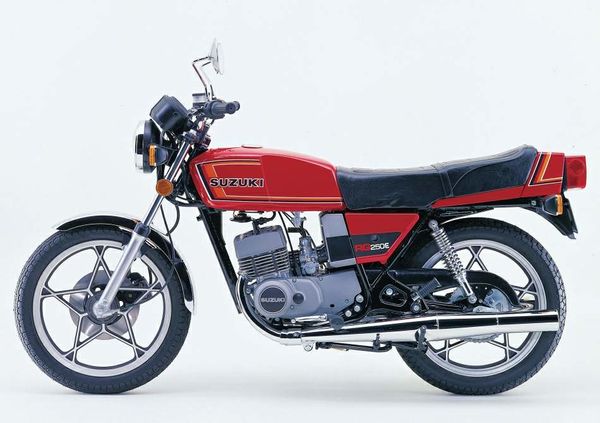 1980 - 1982 Suzuki RG 250E