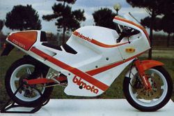 Bimota-db1rs-1987-1987-2.jpg