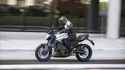 2015-Yamaha-FZ8-EU-Race-Blu-Action-006.jpg