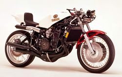 Yamaha-TZ750--1.jpg