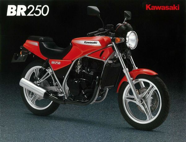 Kawasaki BR250 Casual Sports