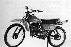 1980-Suzuki-DS125T.jpg