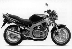 2001-Suzuki-GS500K1.jpg