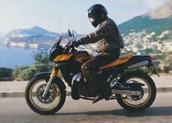 Yamaha-tdr250-1988-1993-2.jpg