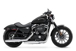 Harley-davidson-iron-883-3-2013-2013-2.jpg