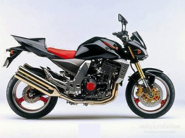 2003 - 2006 Kawasaki Z 1000