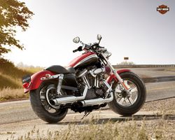 Harley-davidson-1200-custom-3-2013-2013-2.jpg