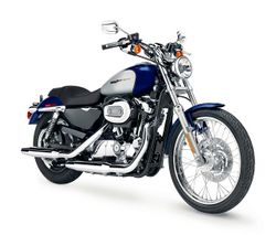 Harley-davidson-1200-custom-3-2006-2006-1.jpg