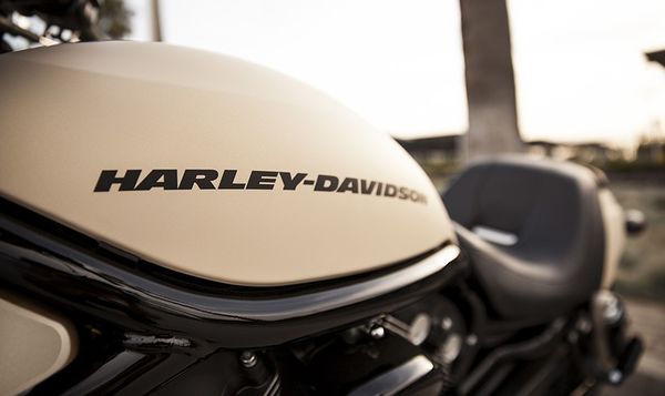 2014 Harley Davidson Night Rod Special