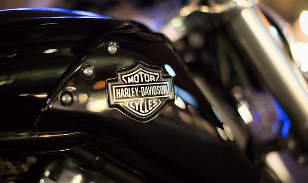 2015 Harley Davidson V-rod Muscle